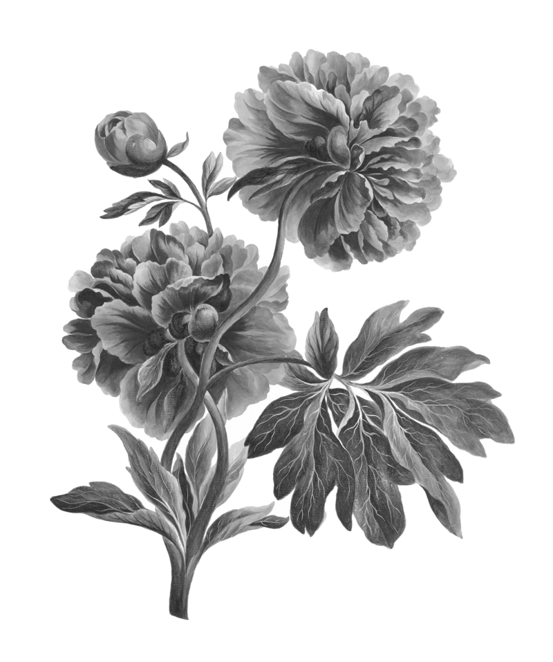 florals