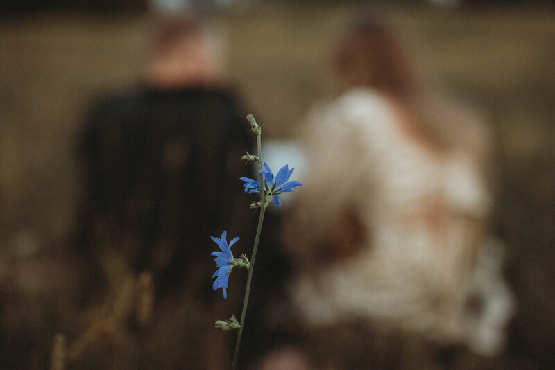West-Virginia-Family-Photographer (109)