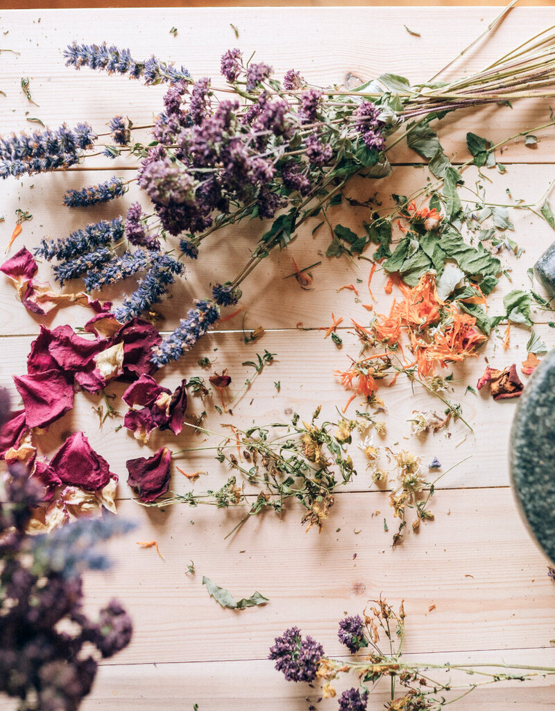 herbalist-dried-flowers