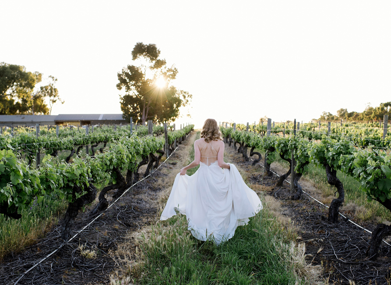 A bride walking away from the camera holding the train of her dress in her hands, and walking through a vineyard at sunset