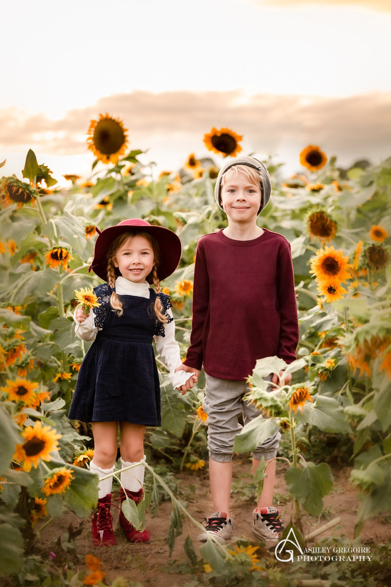 Ashley Gregoire Photography - Family Portraits - Gregoire Sunflowers-1