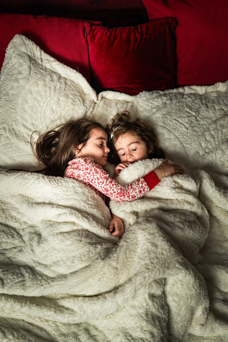Asheville christmas photographer Flaming lily studios-3-2