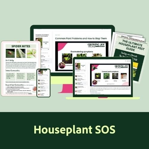 Houseplant SOS Digital Course