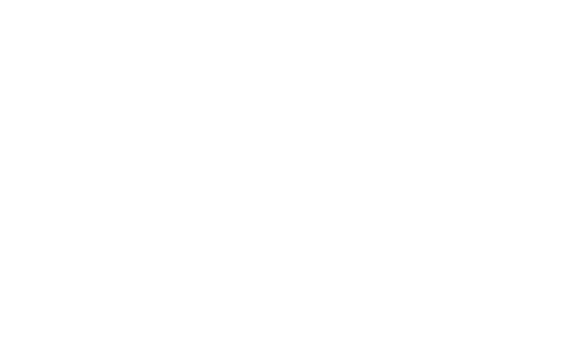 AVA LOGO ontwerp - Veenendaal
