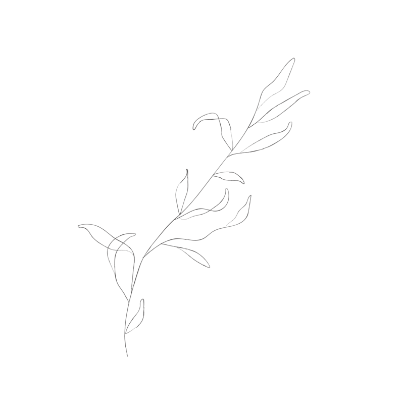 minimalist botanical line sketches - galerie design studio-02
