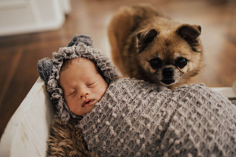 Baby and Dog Photoshoot Jacksonville