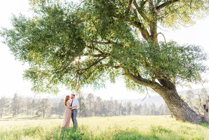 Merryland Eden Wedding Setup