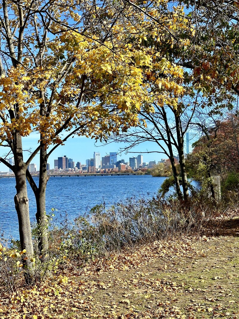 Boston skyline from Charles river esplanade 