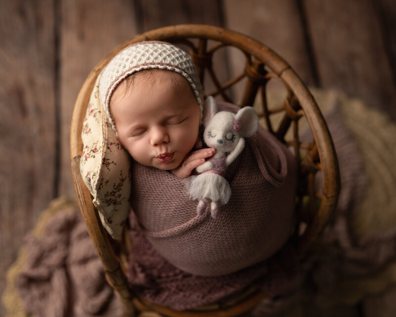 Styled with vintage charm and cozy details, this mauve-wrapped newborn girl rests sweetly with her tiny mouse companion.