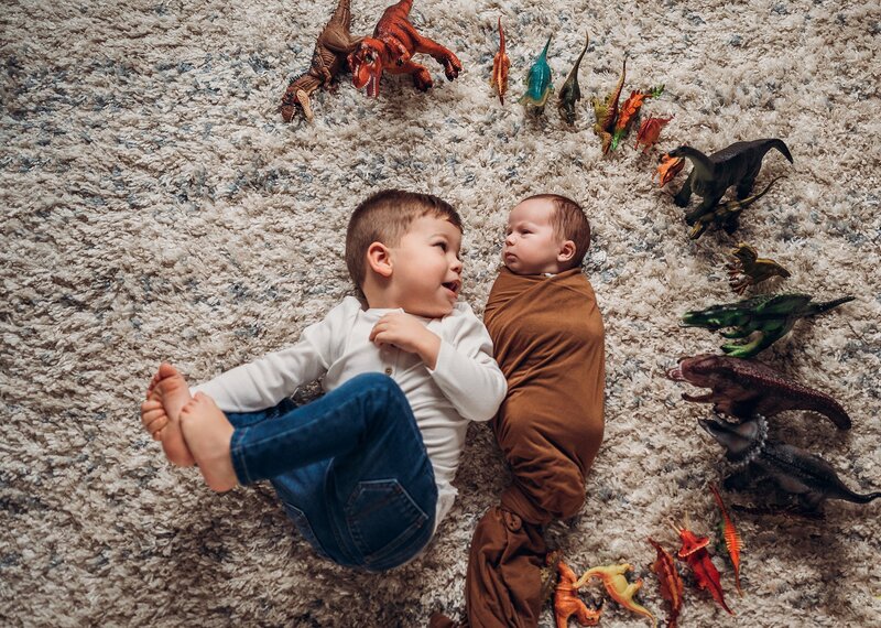 brothers playing with dinos