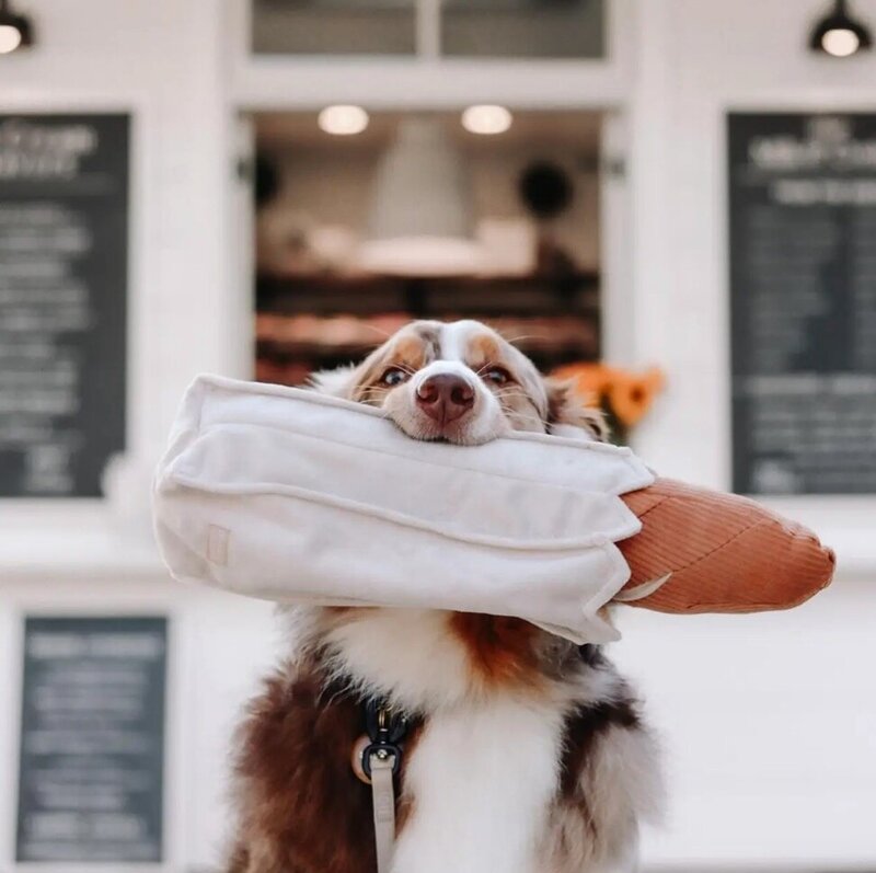 LG Baguette