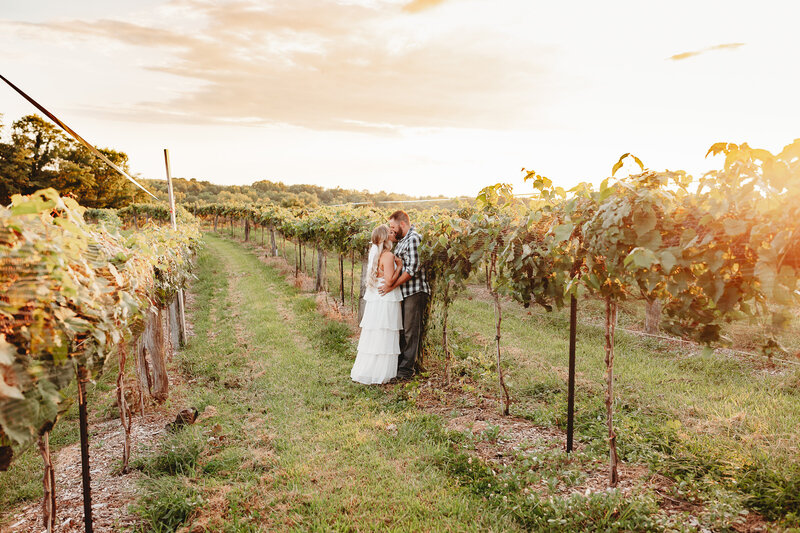 timeless engagement photos in an ohio winery, talon winery, vinok