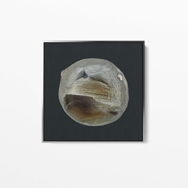 Fine Art Canvas with a silver frame featuring Project Stardust micrometeorite NMM 2365 collected and photographed by Jon Larsen and Jan Braly Kihle