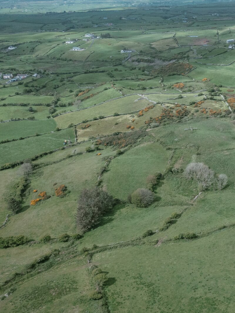 01_DJI_0357