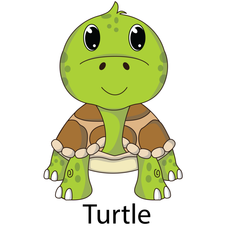 LFTH_turtle