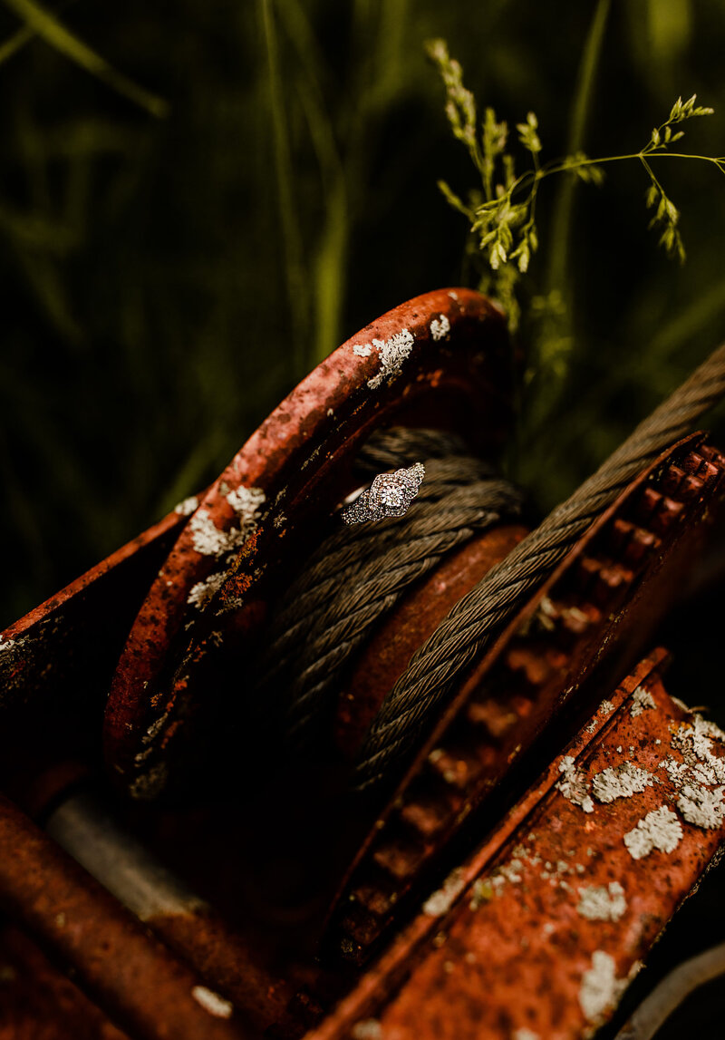 AR8A2068-Edit