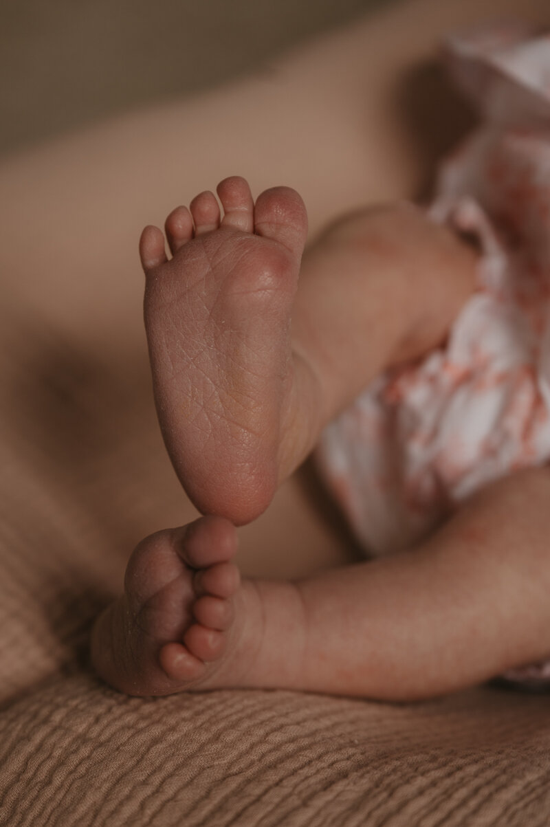 Amelia Newborn Kelsey Cuervo Photography Warrenton Virginia Family Motherhood Photography 2024-13
