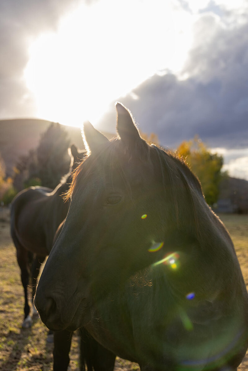 Park City Brand Photography