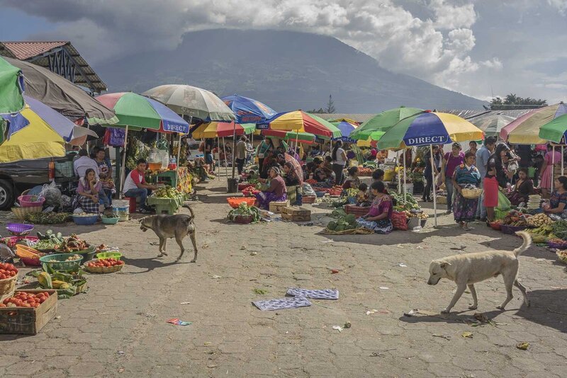 Guatemala-market-Antigua-dogs-1