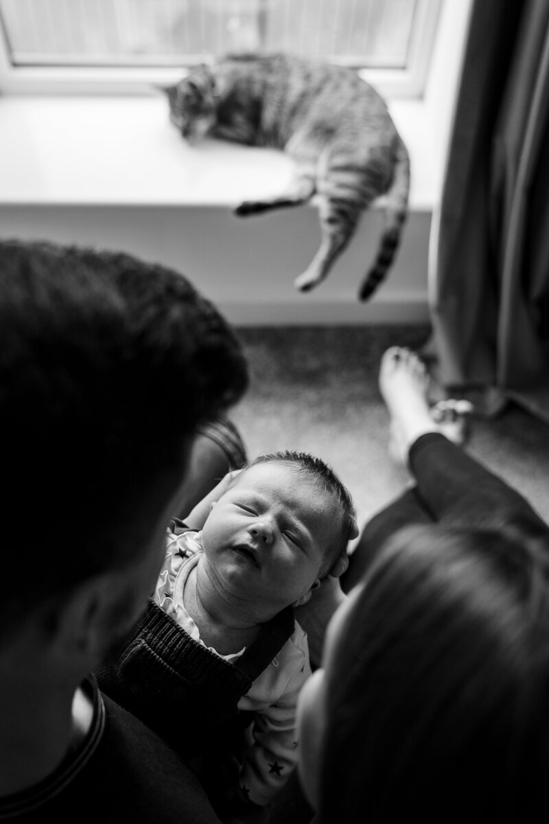 lifestyle-newborn-baby-photos-55