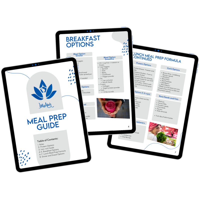 meal prep guide pdf