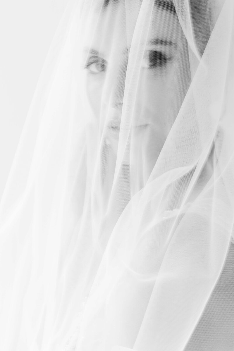 luxury wedding photo of a bride behind her veil