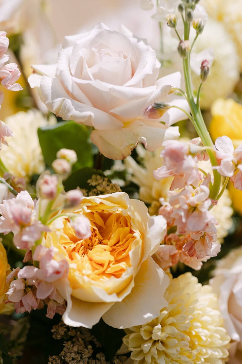 luxury wedding photographer