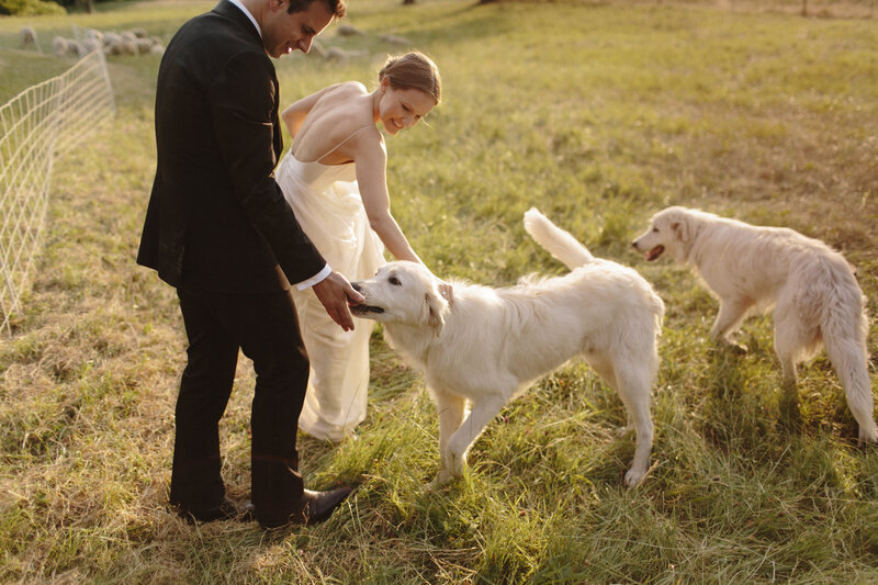 lindsay-matt-wedding-434
