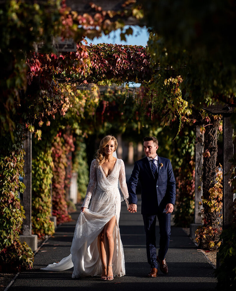 San Francisco Bay Area wedding photographer captures intimate moment as bride and groom walk under vine-covered arbor with fall foliage at Estate Yountville in Napa Valley