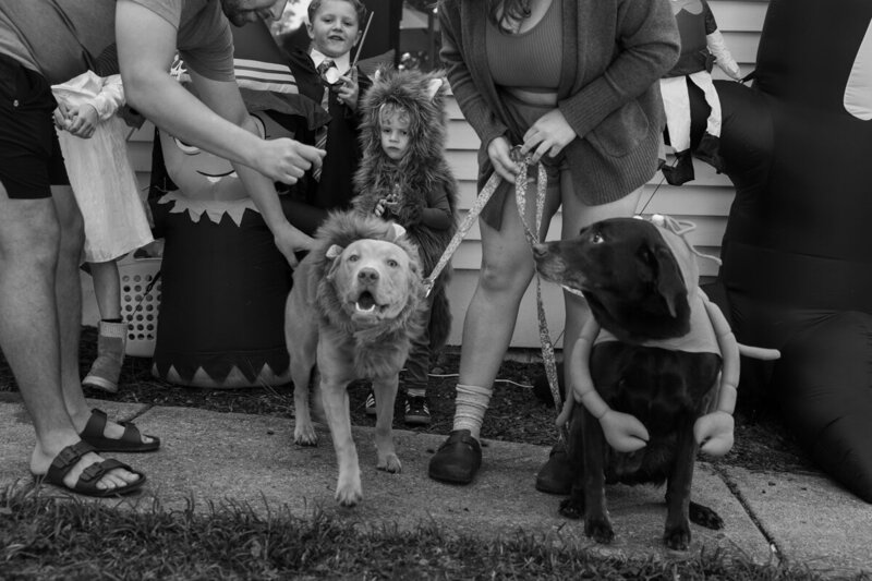 LightCreative_202410_HannahAlex_BrightSpotDonuts_Hike_HalloweenCostumes_documentaryfamily_008