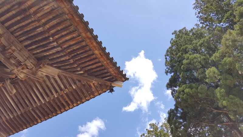 Japan Roof