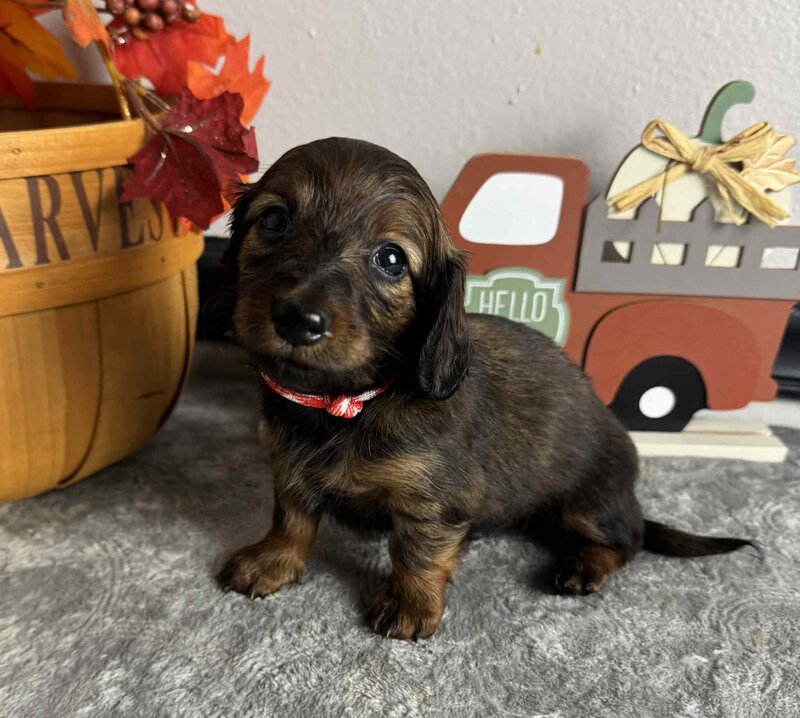 cd6d078e-71f3-41d8-9841-1591e5d7304f