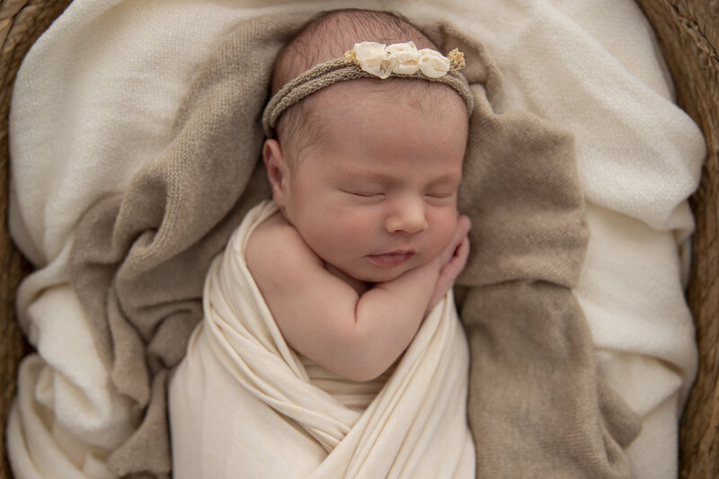 Newborn Photography posed