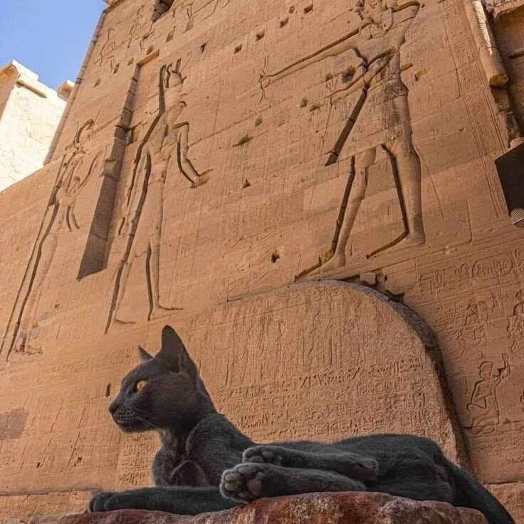 Just Egypt