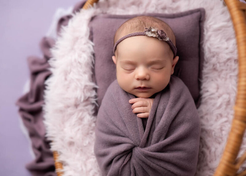 newborn-mini-session-purple-basket-prop-1