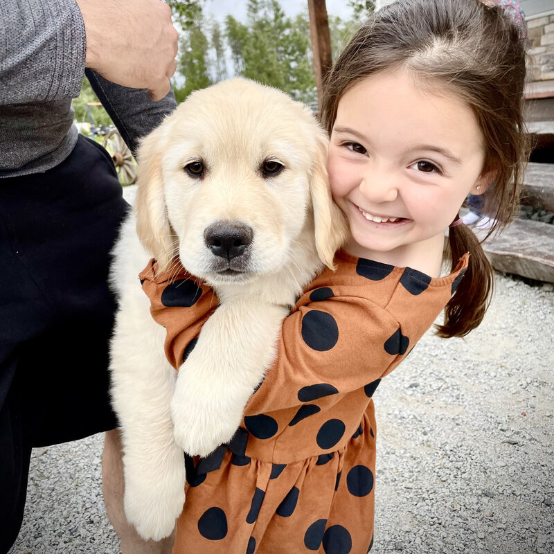 VanCurenCreative-Photo-Puppy