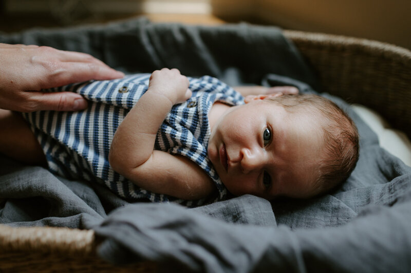 sarahkarnas-rowan-060125-321