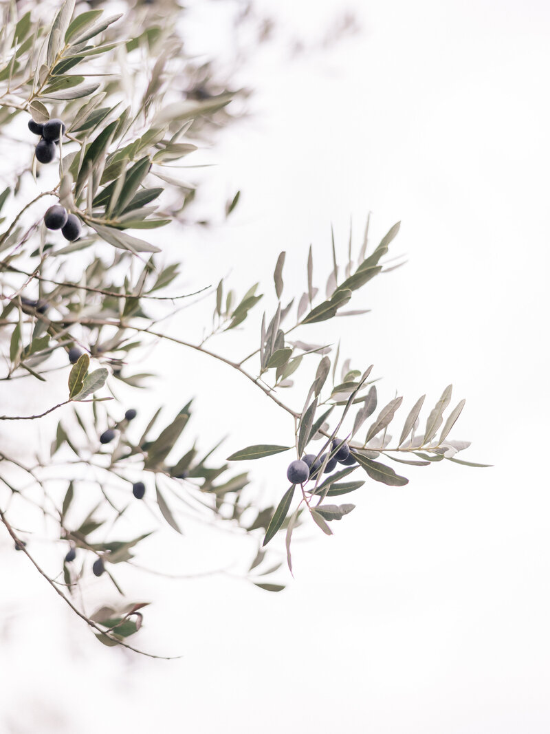 Bride and groom walk up memorial steps at their DC wedding