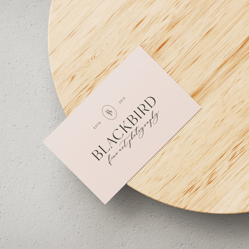Blackbird-photography-social media - posts2
