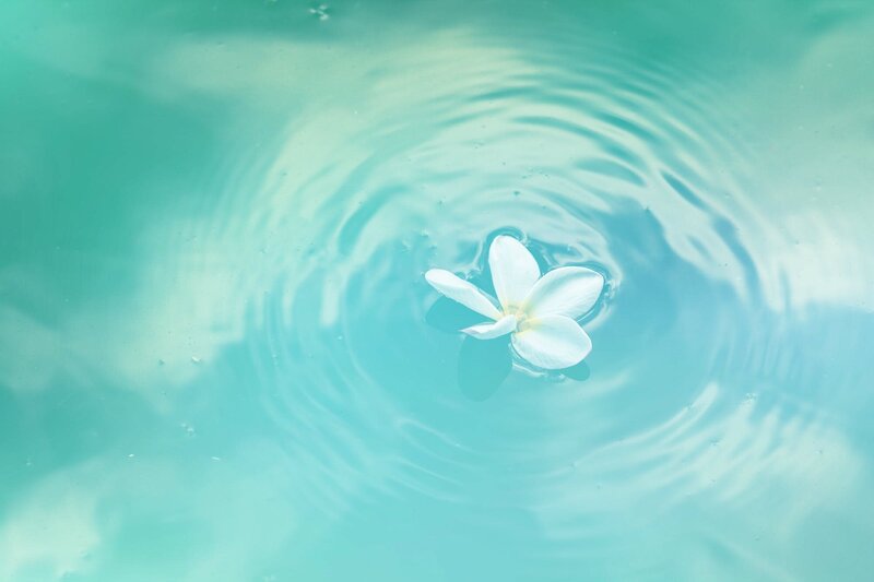 White flower floating in an aqua pool of water