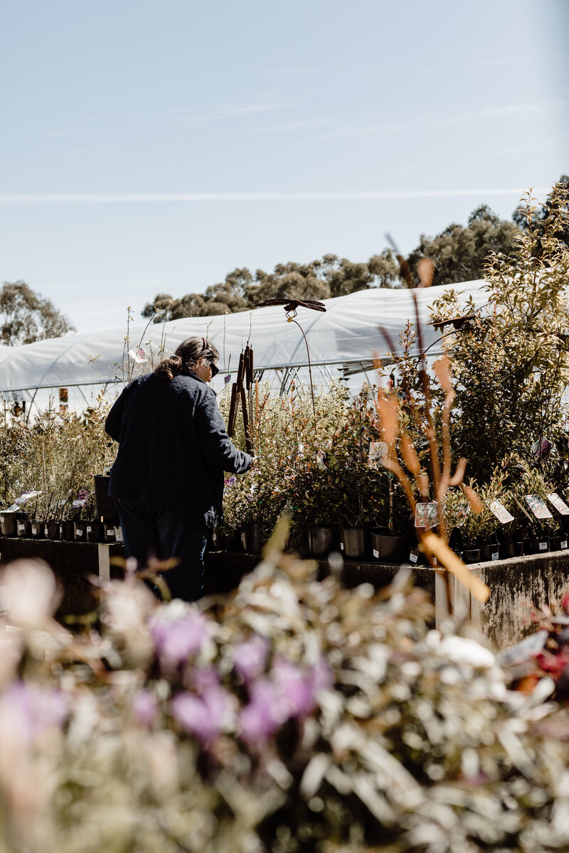 Indigo Power -Park Lane Nursery - JessicaCarrollPhotographer-2