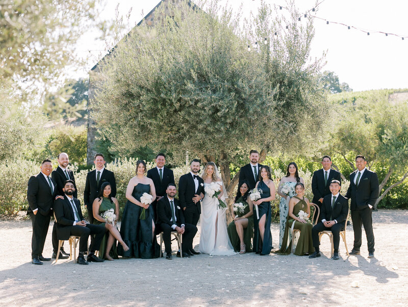  A wedding party posed for an editorial portrait during a wedding at Niner winery in California.