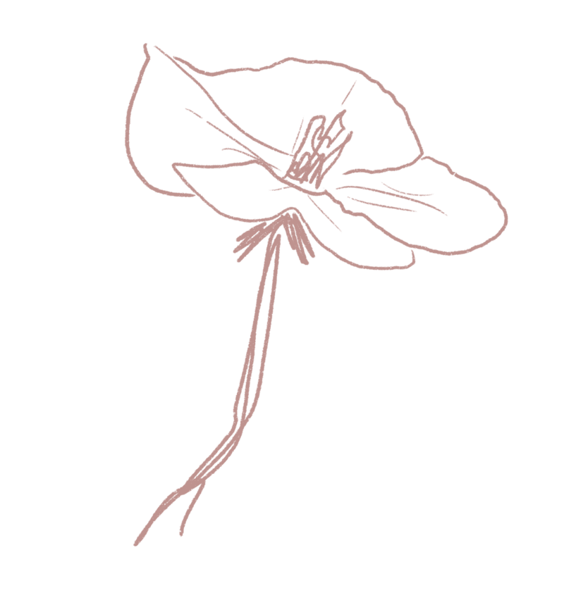 darkpink2 copy
