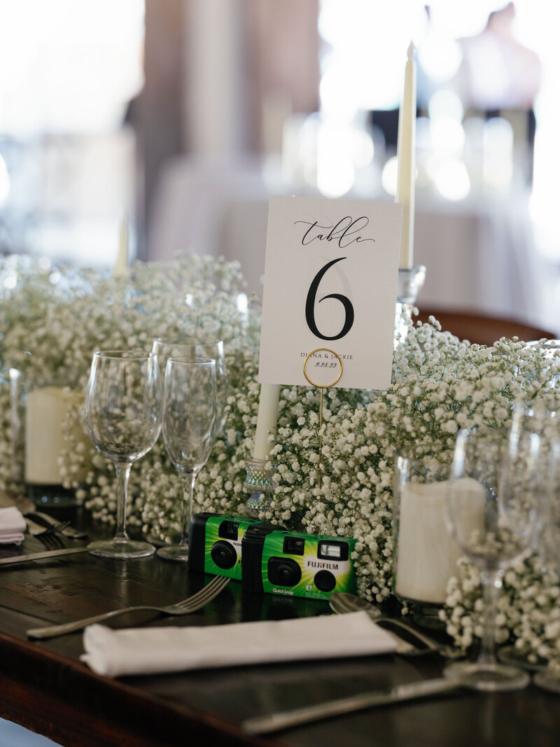destinationweddingphotographerpuntacanawedding-10