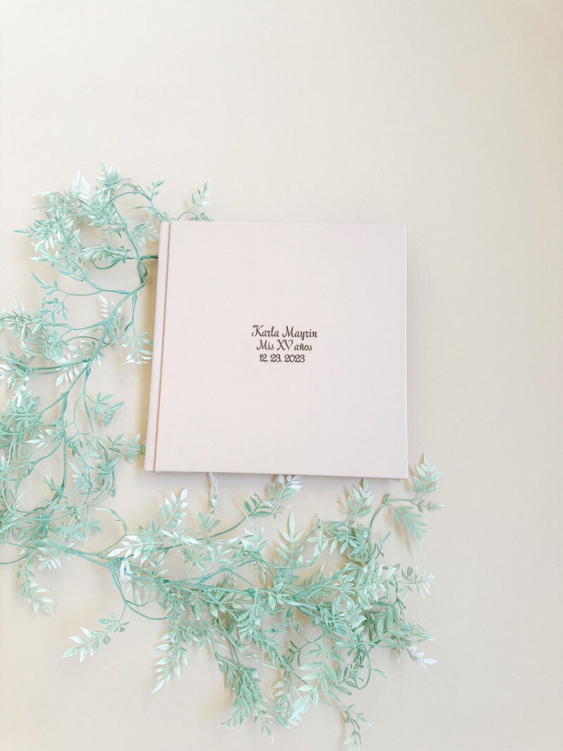 quinceanera-album-brenda-nunez-photography