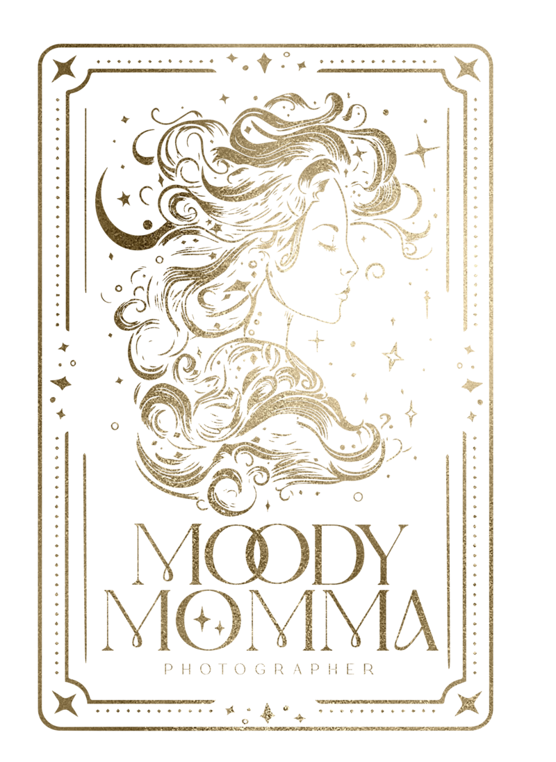 about-me-moody-momma-northern-va-lifestyle-photographer