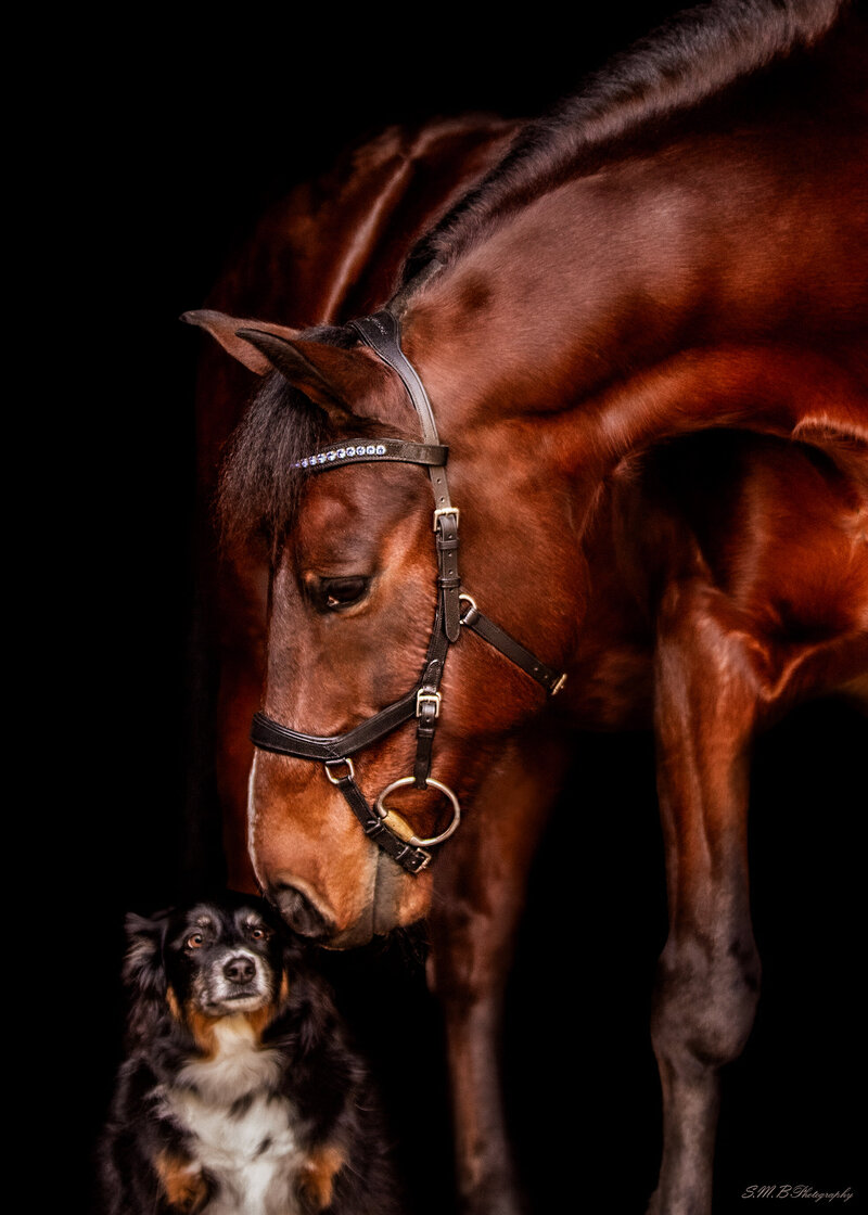 20241214-20241214-_MG_9305 copy