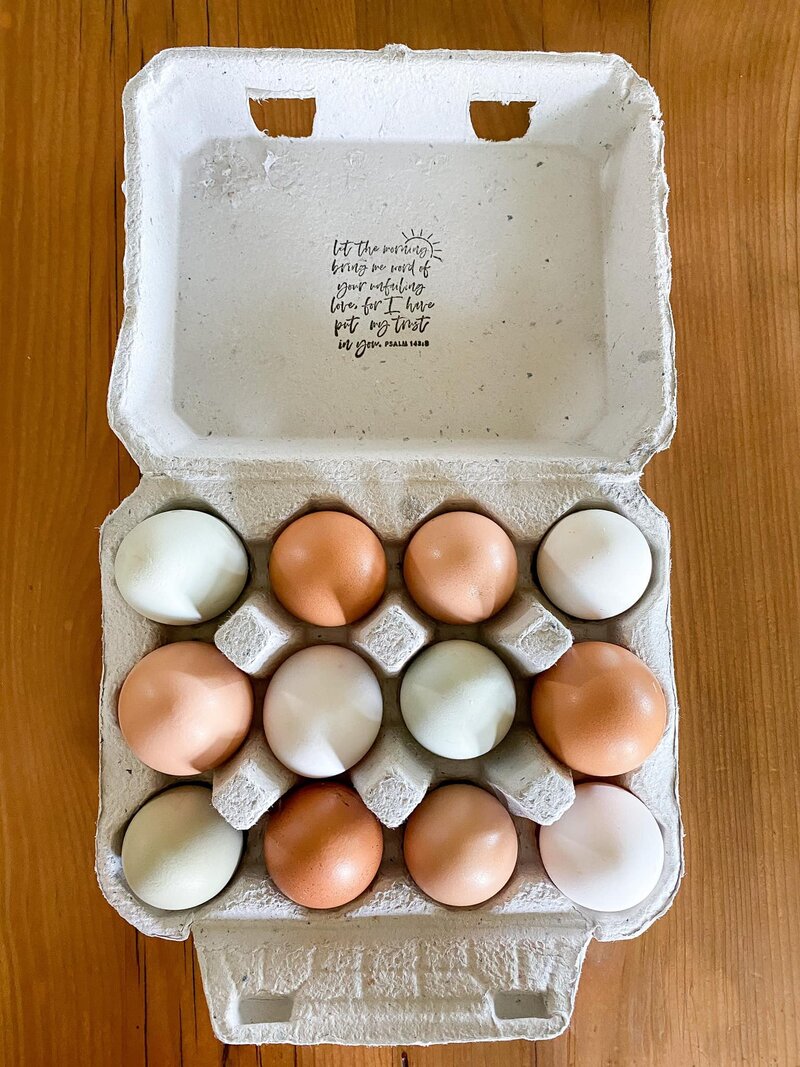 egg2