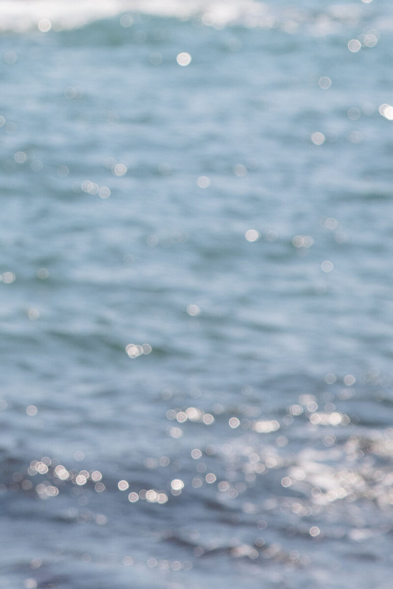 Showit Portfolio Gallery Template for Wedding Photographers