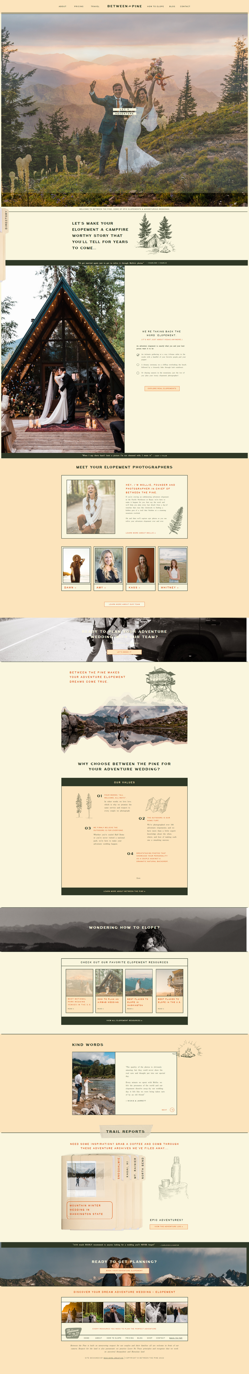 Between the Pine website and copywriting